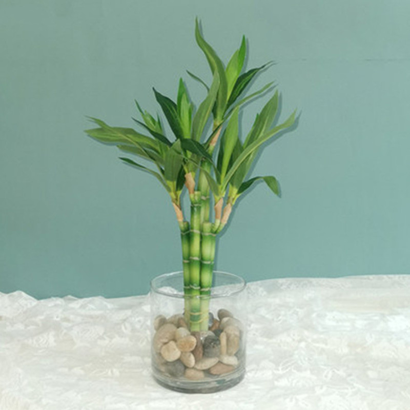Outdoor Furniture Green - New 40cm Artificial Lucky Bamboo Succulent