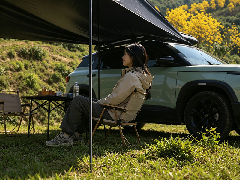 3D Car Side Awning Black Coati - Outdoor Furniture Frontgate 评论和价格